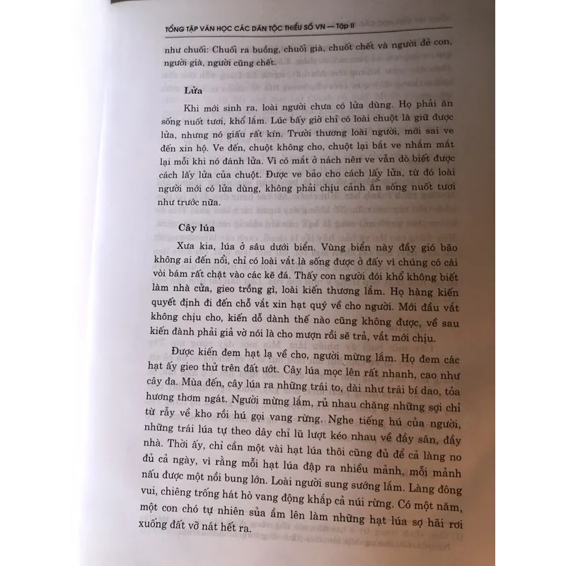 Tổng tập văn học các dân tộc thiểu số Việt Nam tập 2 711645