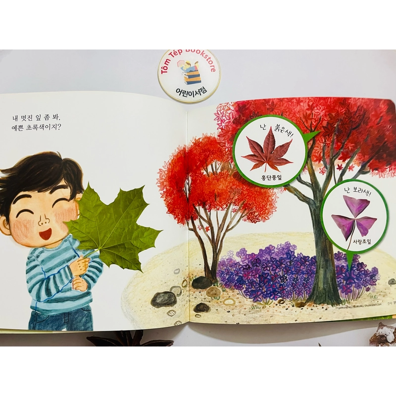Set sách tiếng Hàn minh hoạ dễ thương bạn hổ 호비 470095