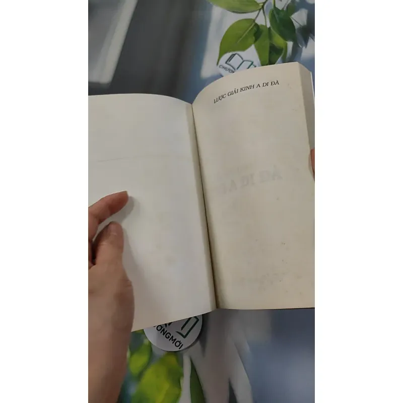 Lược Giải Kinh A Di Đà (Tặng Kinh A Di Đà Nghĩa) - Ngô Trọng Đức 776118