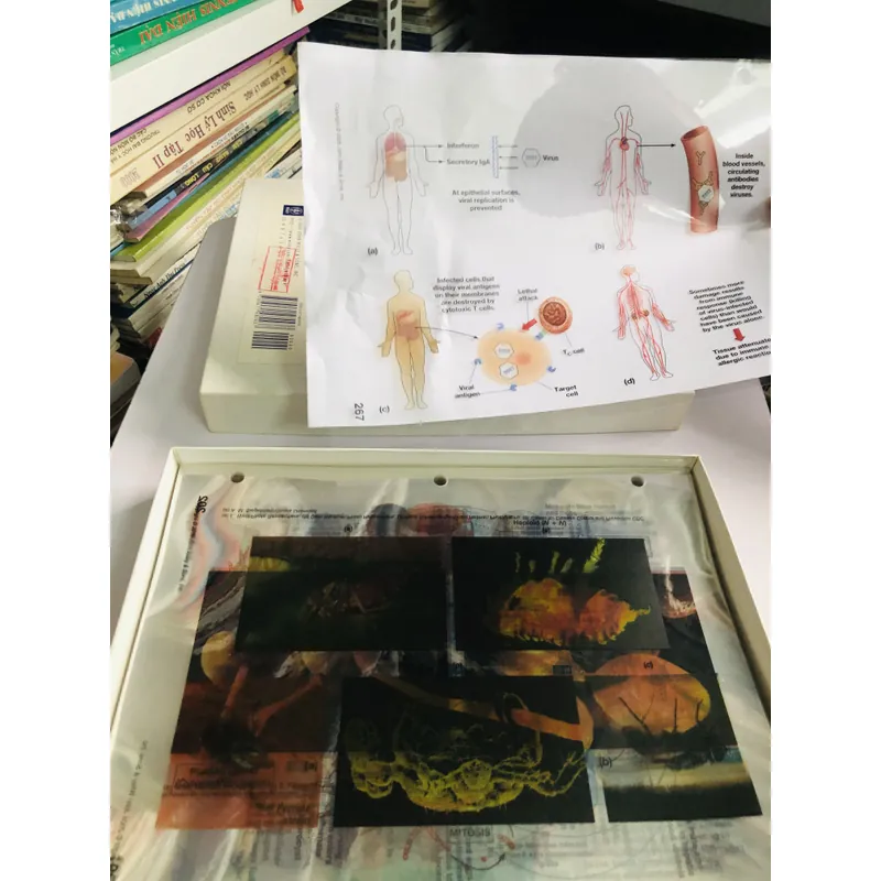 MICROBIOLOGY – PRINCIPLES AND EXPLORATIONS (Transparency Acetates) 599736