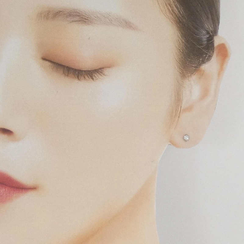 PT900 Bông tai kim cương 0.16CT - Hàng hiệu Chính hãng 869126