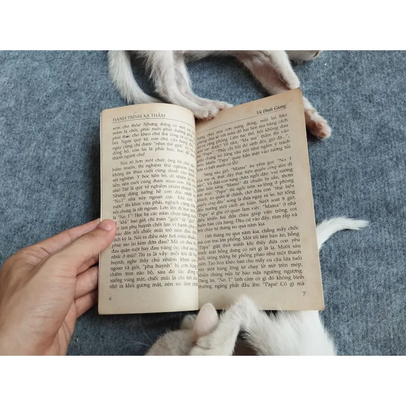 HÀNH TRÌNH XA THẲM - VŨ ĐÌNH GIANG 567807