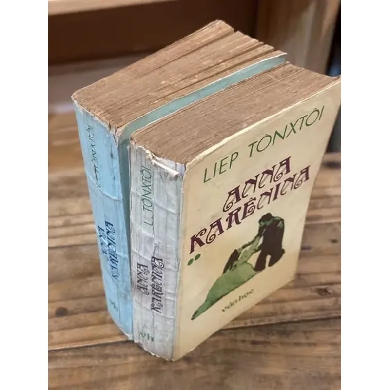 Anna Karenina - Lev Tolstoy 730934