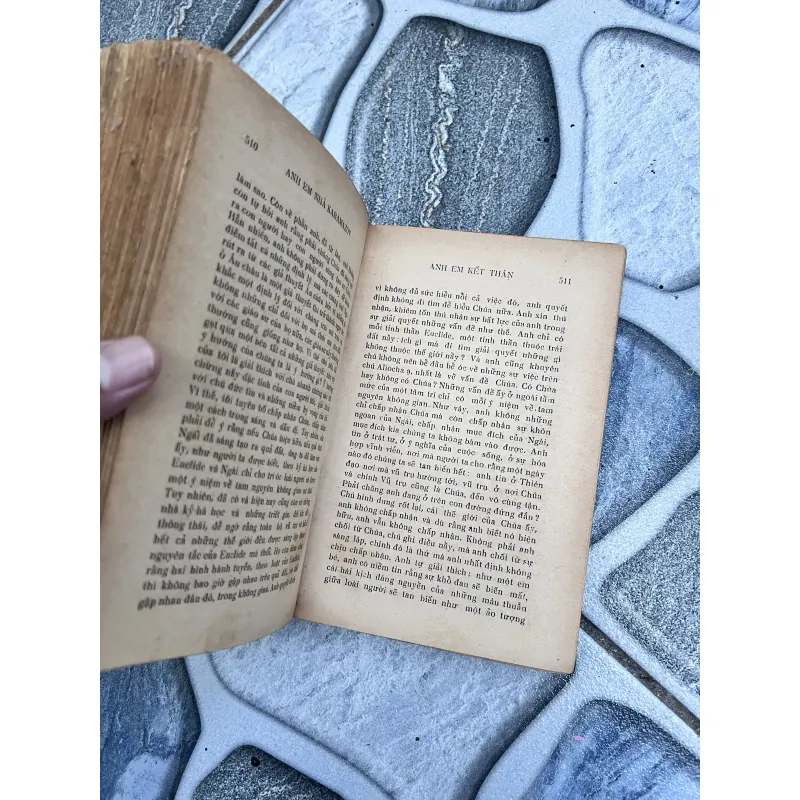 Anh em nhà karamazov - Trương Đình Cử (1972) 752773