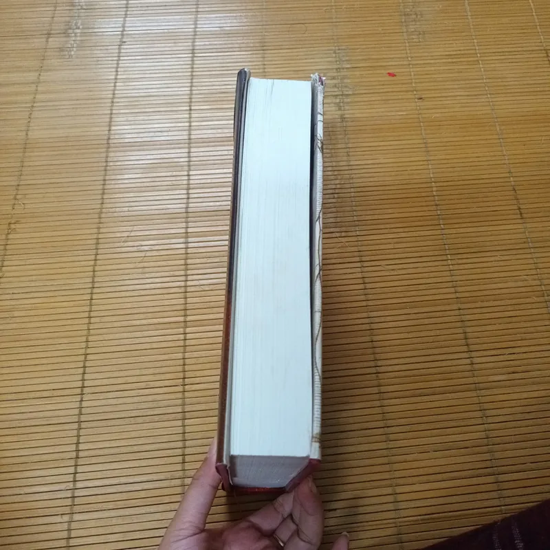 LEONARDO DE VINCI - WALTER ISAACSON 726537