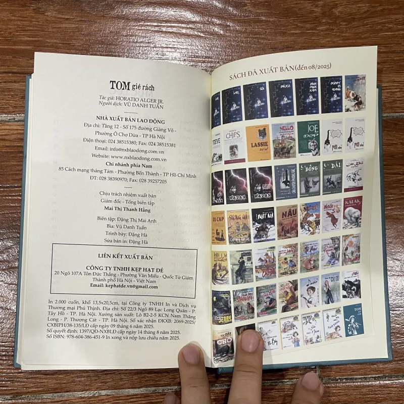 Tom giẻ rách (12) 1024245