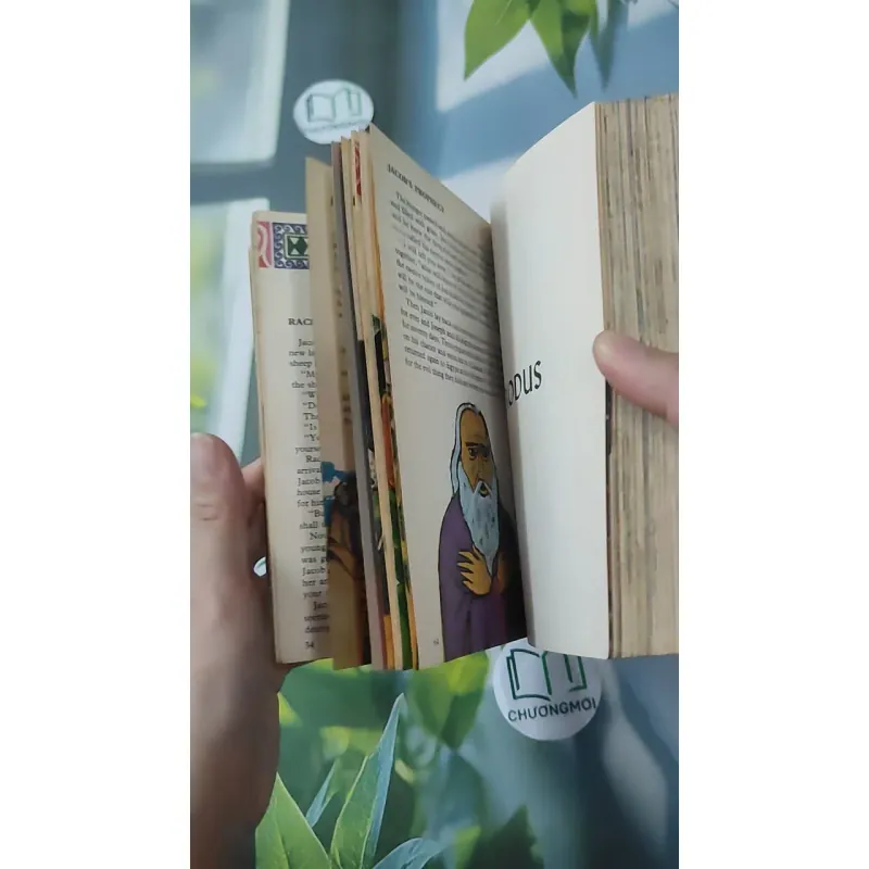 [MIỄN PHÍ BỌC SÁCH] [XƯA] A Child's Bible: Old Testament (1982) - Anne Edwards 1027586