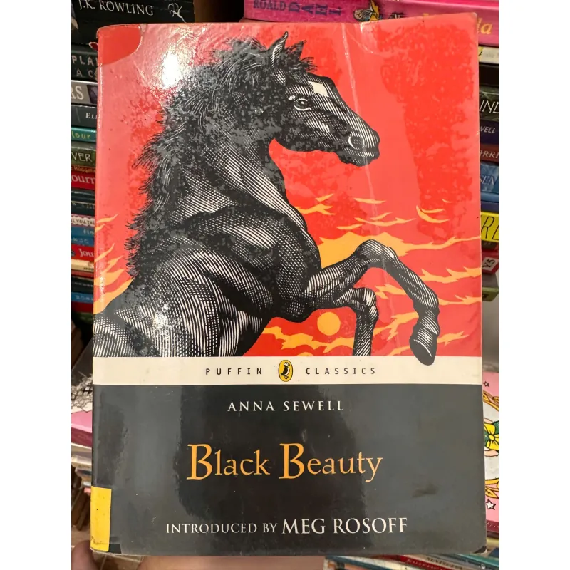 Black Beauty by Anna Sewell. 708410