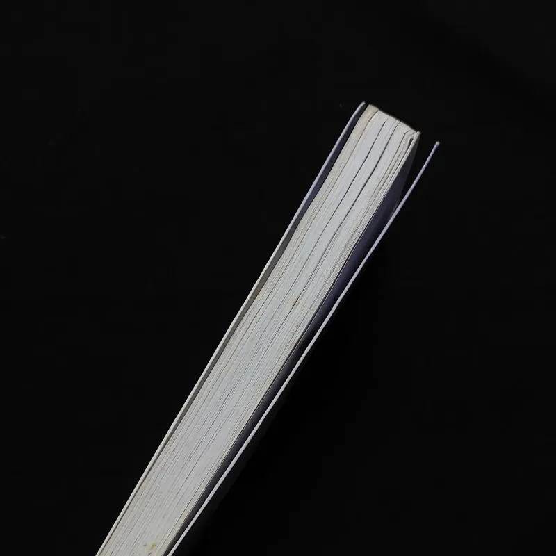 [Sách Cũ] Người Đón Tàu - Jiro Asada 601455