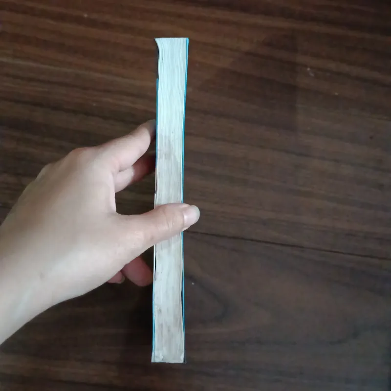 Nếu em không phải một giấc mơ 928904