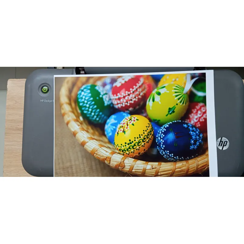 Máy in cũ - HP Deskjet 1000 1001776