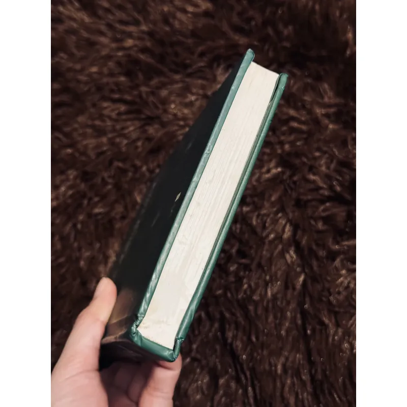 Bắt trẻ đồng xanh (bìa cứng) 708047