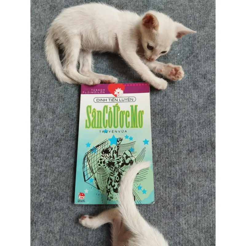 SÂN CỎ ƯỚC MƠ - ĐINH TIẾN LUYỆN 567809