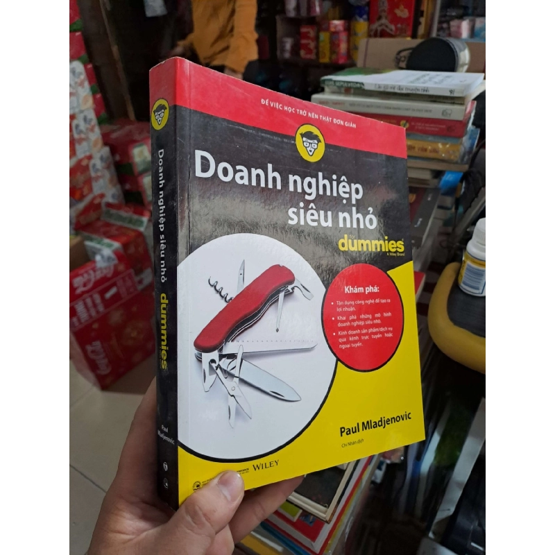 Doanh Nghiệp Siêu Nhỏ For Dummies - Paul Mladjenovic - 2021 mới 90% - KINH TẾ - TÀI CHÍNH - CHỨNG KHOÁN - HMT3012 924815