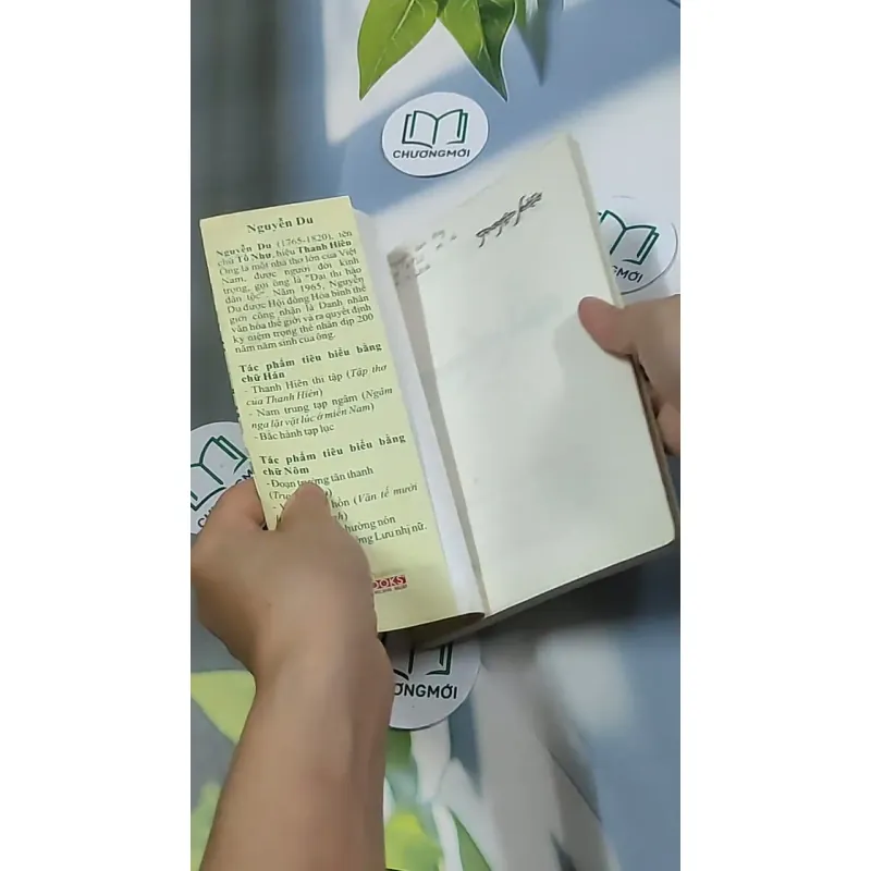 Truyện Kiều 698586