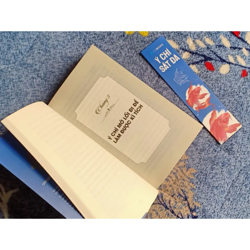 Ý Chí SẮT ĐÁ - Orison Swett Marden 1004250