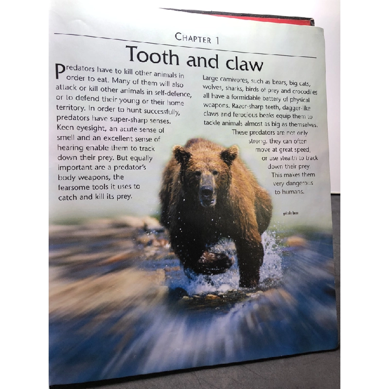 Dangerous Creatures BÌA CỨNG mới 85% tróc góc bìa Angela Wilkes HPB2607 NGOẠI VĂN 451014