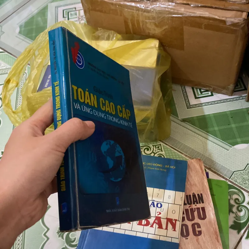 Giáo trình Toán Cao Cấp và Ứng dụng trong Kinh tế 1007200