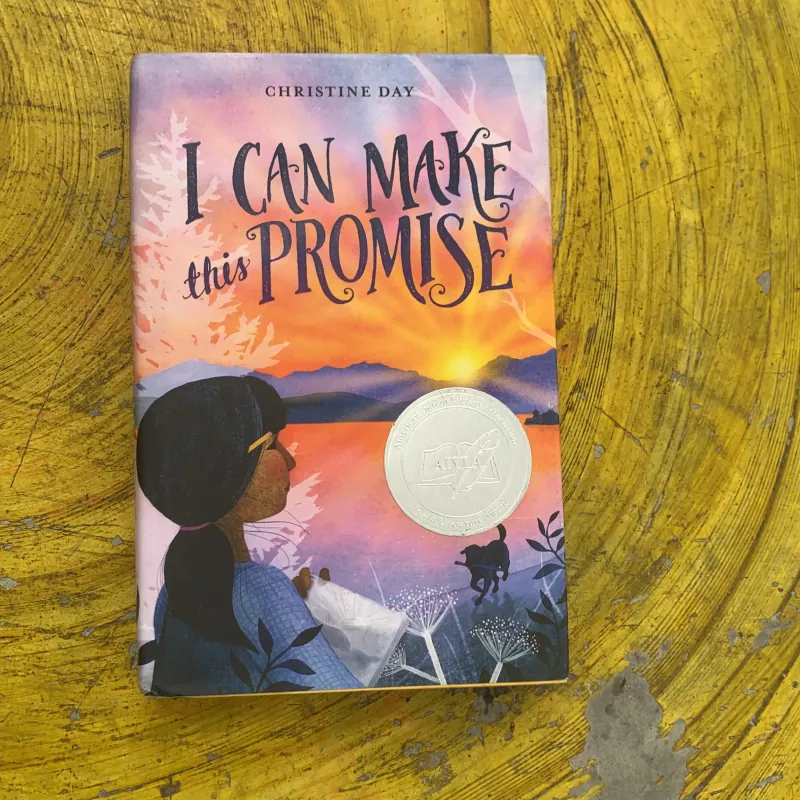 I CAN MAKE THIS PROMISE- CHRISTINE DAY  762284