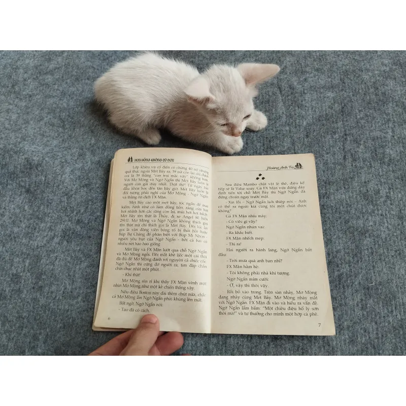 HOA HỒNG KHÔNG CÔ ĐƠN - HOÀNG ANH TÚ 567802