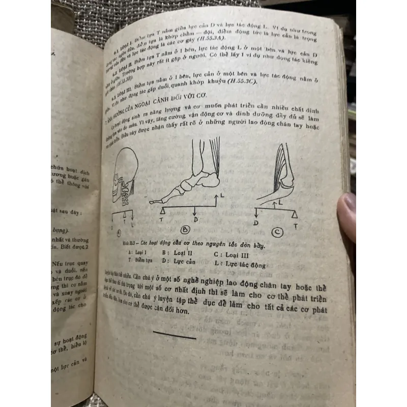 Bài giảng giải phẫu bệnh học - 2 tập, sách dày hơn 800 trang khổ lớn  1009096