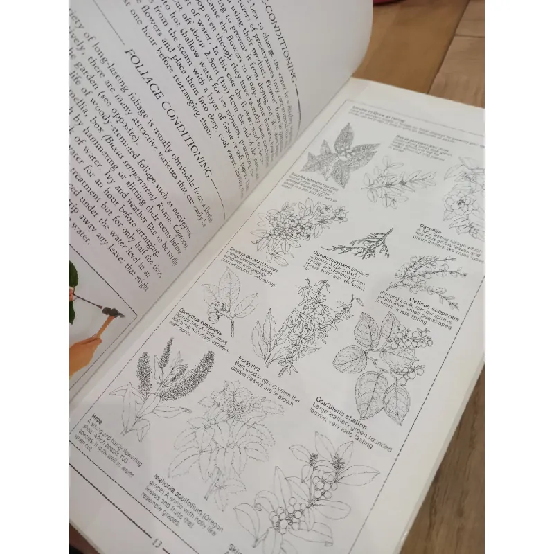 The creative art of flower arranging - Jan Hall 568434