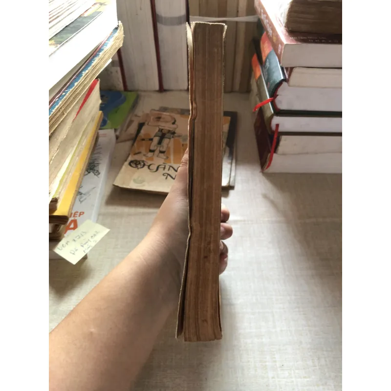 Hội thảo về nghiên cứu và phát triển hệ canh tác cho nông dân trồng lúa Châu Á 993264