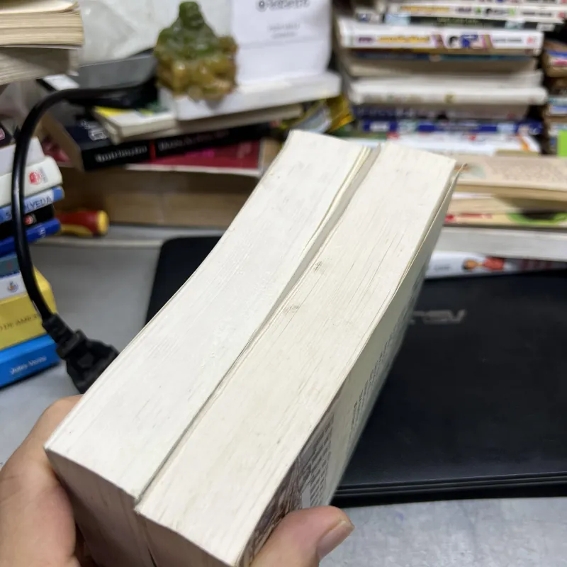 HỘI CHỢ PHÙ HOA  1004369