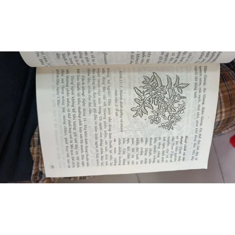 CÂY THUỐC TRỊ BỆNH THÔNG DỤNG - VÕ VĂN CHI 746969