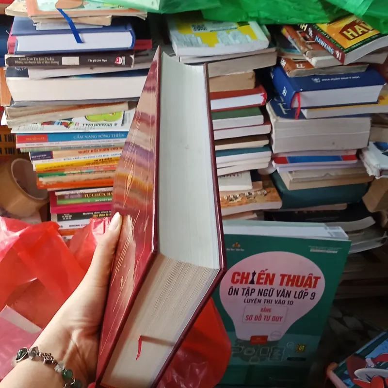 Họ Trịnh Trong Tiến Trình Lịch Sử Việt Nam  1002355