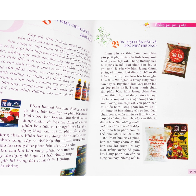 Trồng hoa quanh nhà 12162