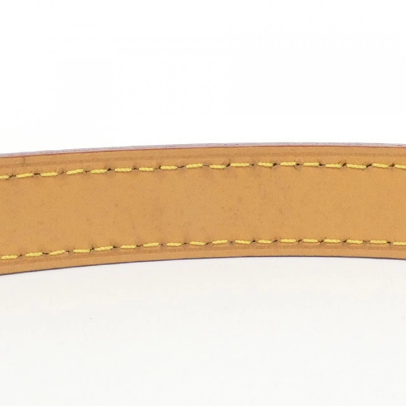 Túi đeo vai Louis Vuitton Monogram Loop M81098 609665