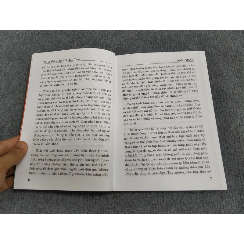 CÁC VỊ ĐẠI SƯ TÁI SINH TÂY TẠNG 485076