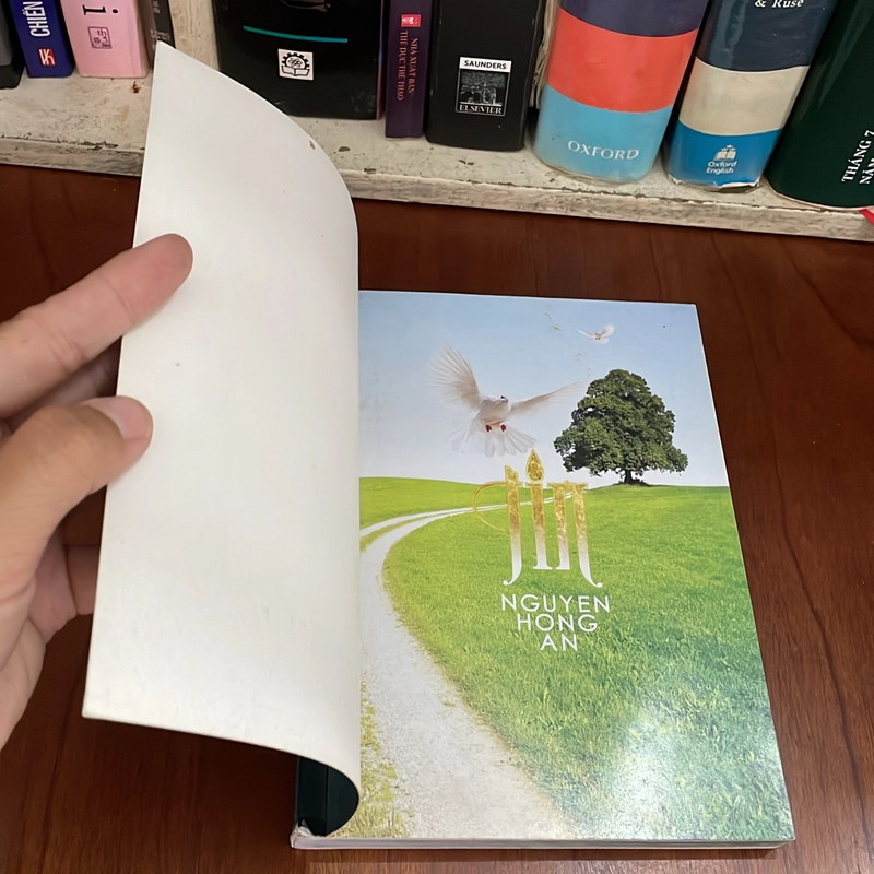 II Tựa sách: TIN - Nguyen Hong An - Illustrated Book 547847