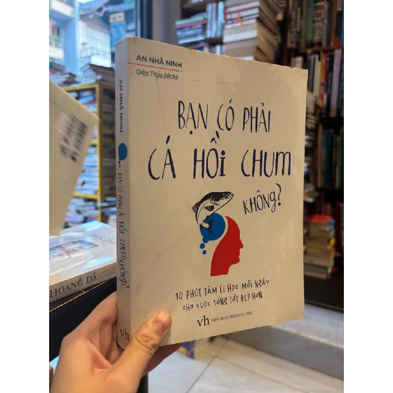 Bạn có phải cá hồi chum không? - An Nhã Ninh 365997