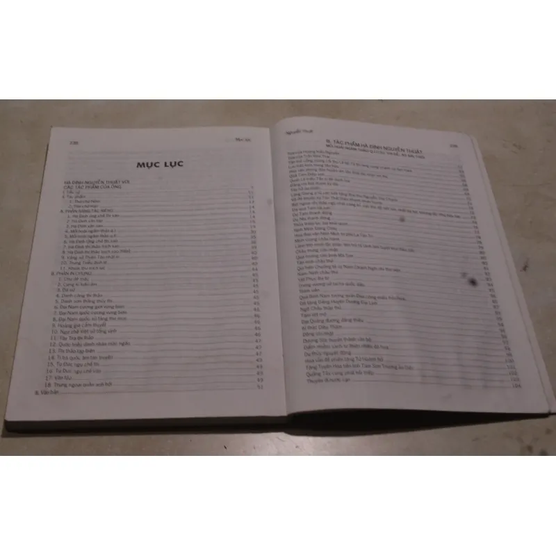 Hà Đình Nguyễn Thuật tác phẩm 975754