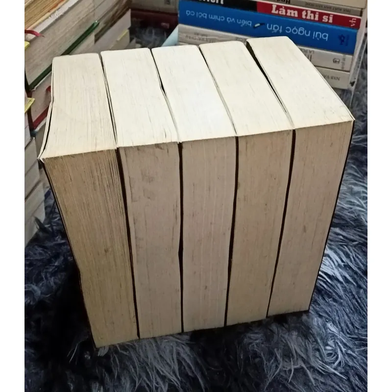 5 Sài Gòn (Bùi Chí Vinh) 1030701