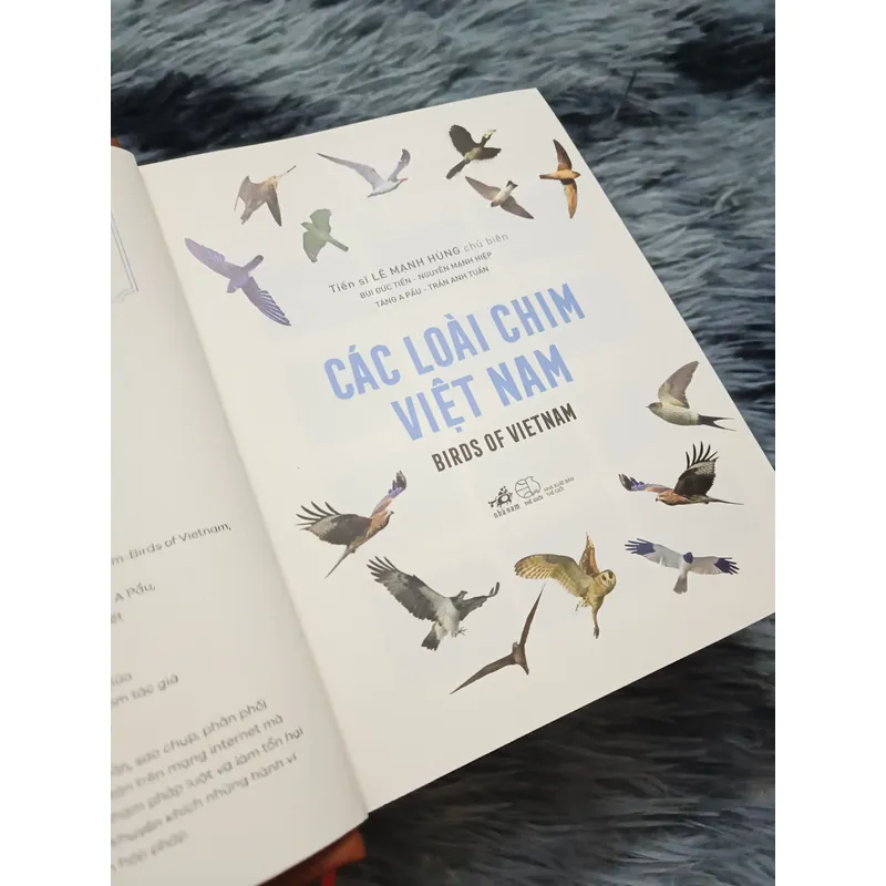 Các loài chim Việt Nam (Bản đặc biệt) 736163