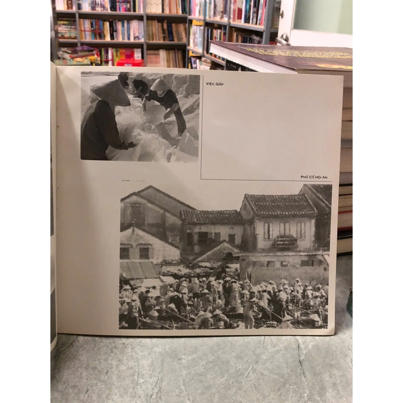 ẢNH PHOTO ĐEN&TRẮNG - TRÚC VIÊN 475715