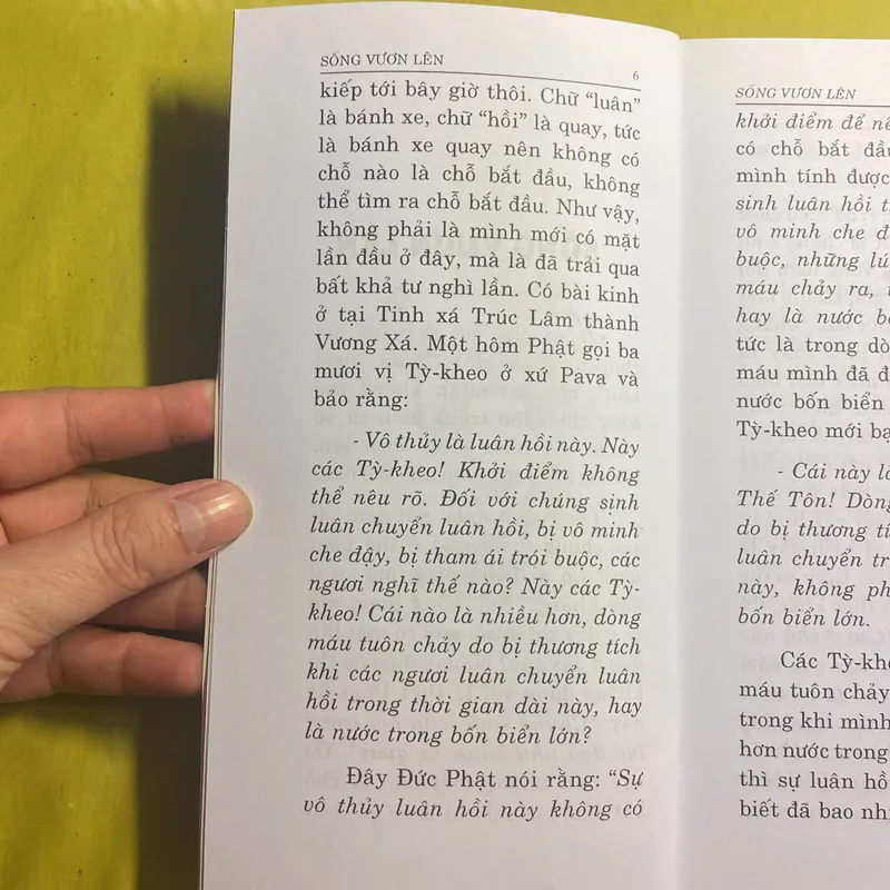 Sống Vươn Lên - Thích Thông Phương - Thiền Viện Trúc Lâm 680982