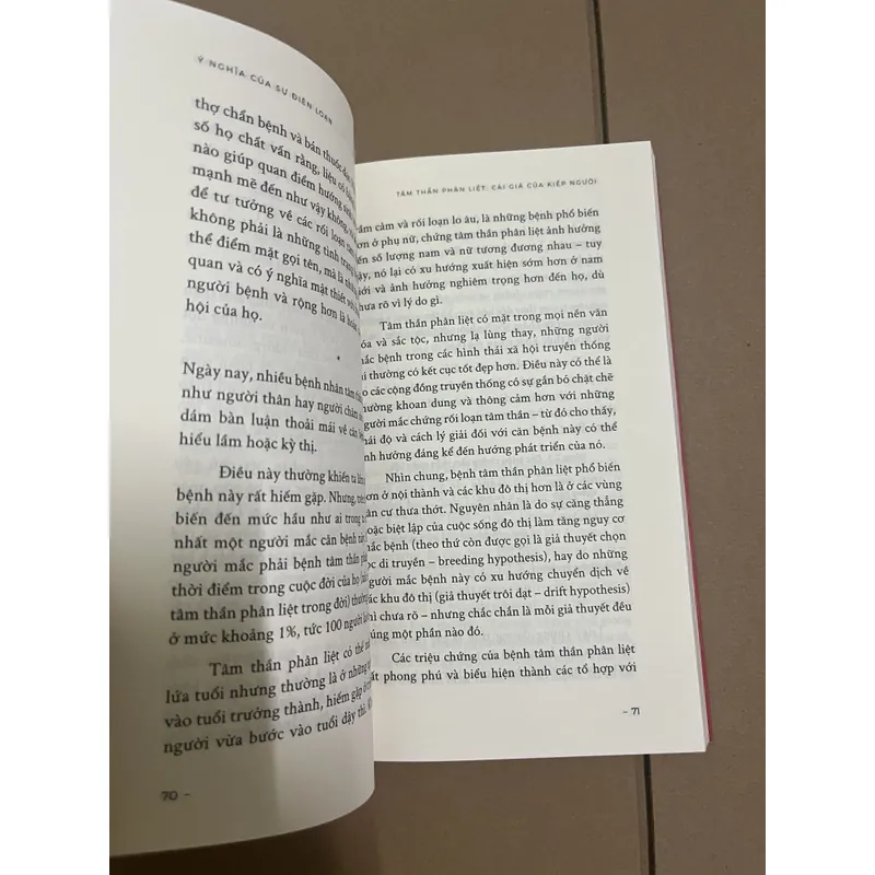 Ý nghãi của sự điên loạn - Neel Burton 729044