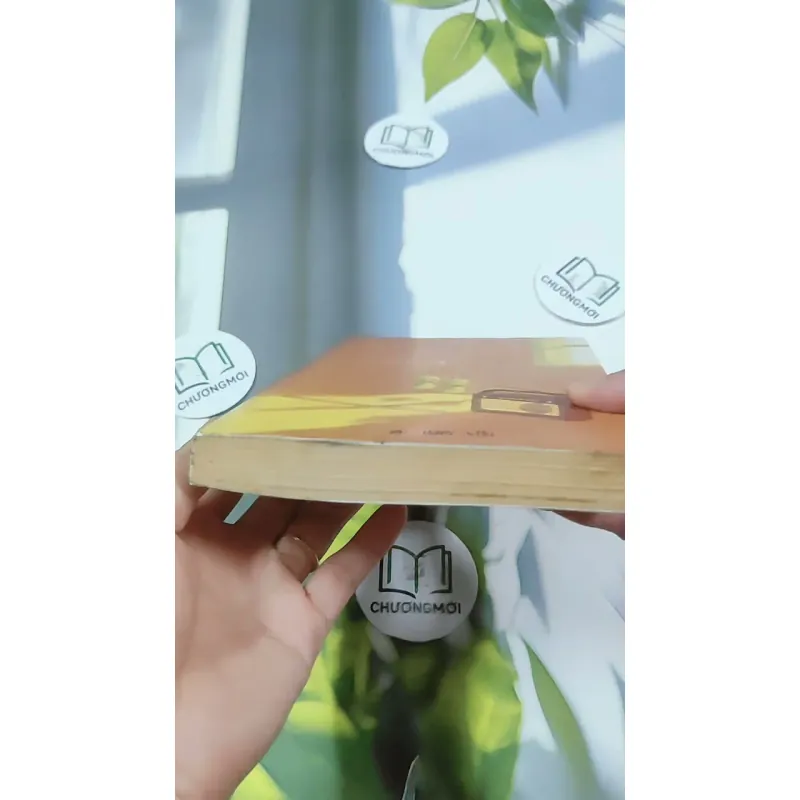 Nợ Em Một Vòng Tay 744713