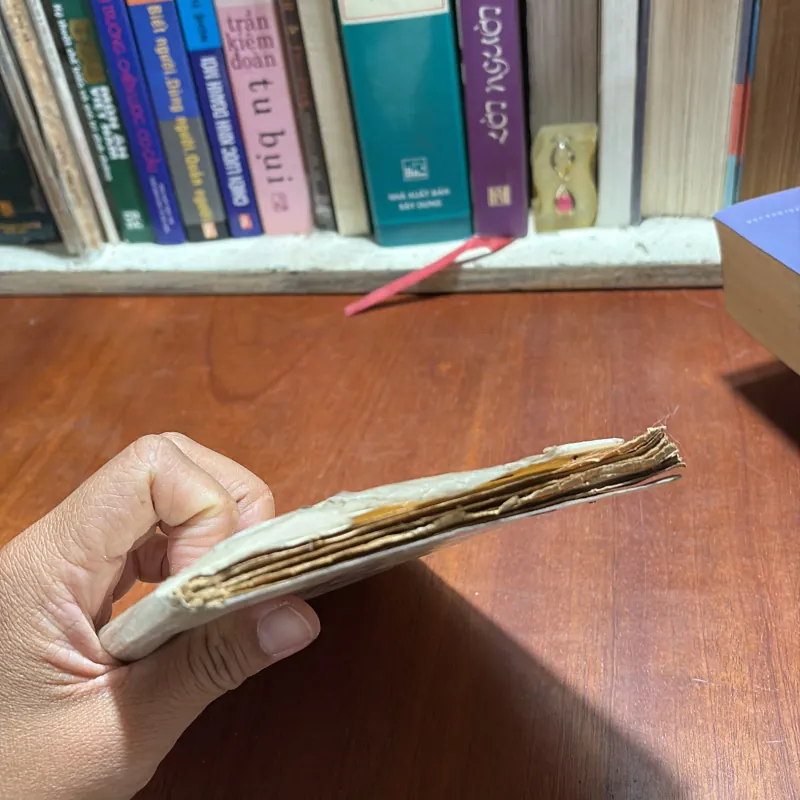 [Thiếu Trang, Sách Tặng Khi Có Đơn] - II Cái Dũng Của Thánh Nhân - Nguyễn Duy Cần 927506