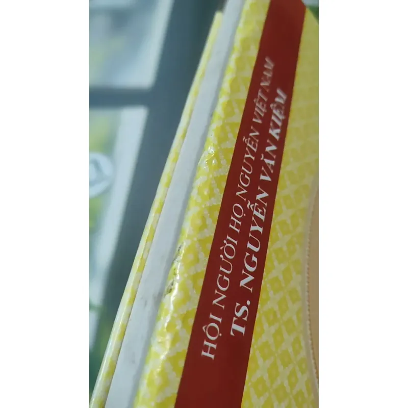 [MIỄN PHÍ BỌC SÁCH] Lịch Sử Họ Nguyễn Việt Nam - Từ Thời Vua Hùng Dựng Nước Đến Thời Đại  727377