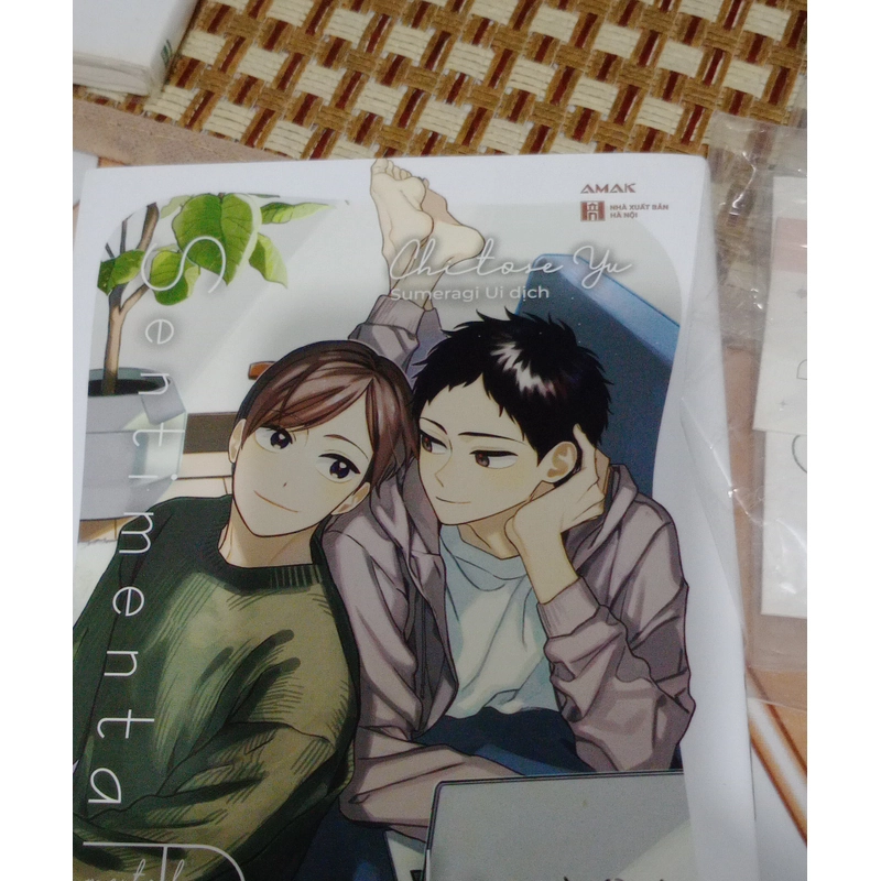 Sentimenal Darling 496709