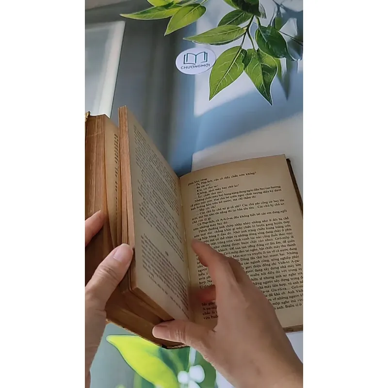 Người Thay Thế Chưa Tới (1986) - Nikolai Kambulev 607724