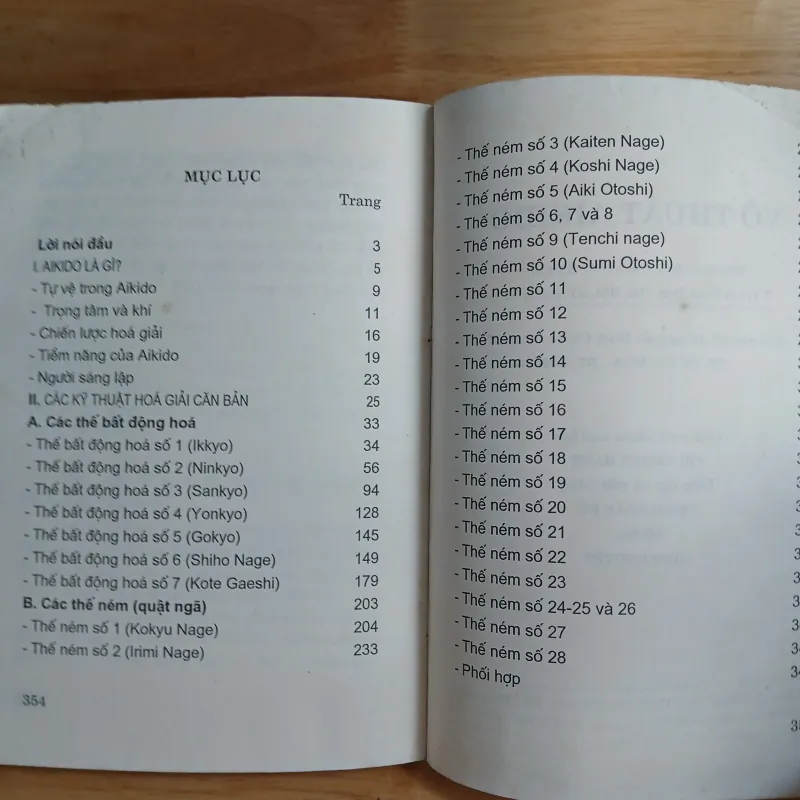 Võ Thuật Aikido - Võ Sư Oratti 957041