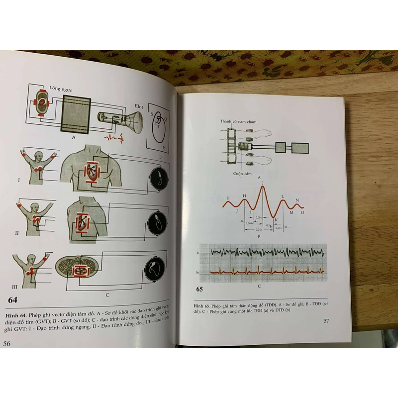 Atlas Sinh Lý Học -  Corobcop 542704