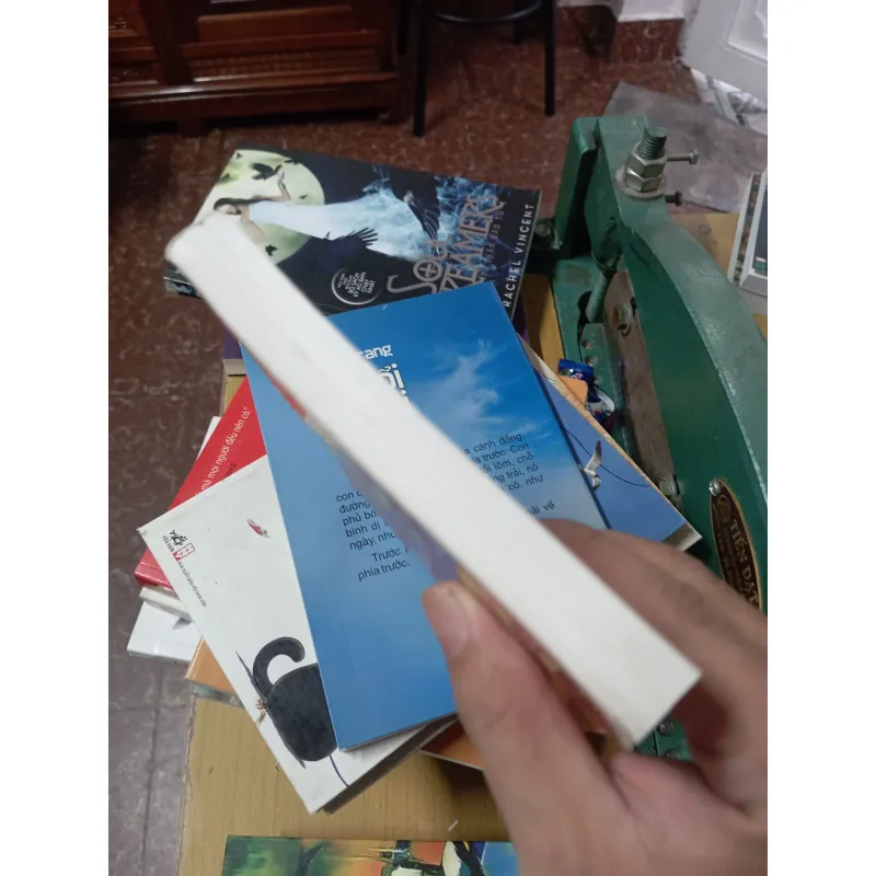 Phong tục cổ truyền Việt Nam và các nước 1013224