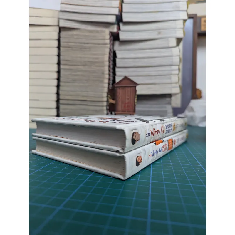 The Wimpy Kid movie dairy 603564